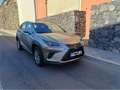 Lexus NX 300h NX 300h Business 2WD Business Plateado - thumbnail 1