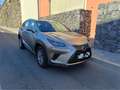 Lexus NX 300h NX 300h Business 2WD Business Plateado - thumbnail 19