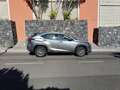 Lexus NX 300h NX 300h Business 2WD Business Plateado - thumbnail 23