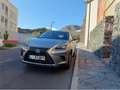 Lexus NX 300h NX 300h Business 2WD Business Plateado - thumbnail 12