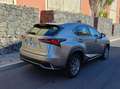 Lexus NX 300h NX 300h Business 2WD Business Plateado - thumbnail 15