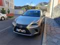 Lexus NX 300h NX 300h Business 2WD Business Plateado - thumbnail 20