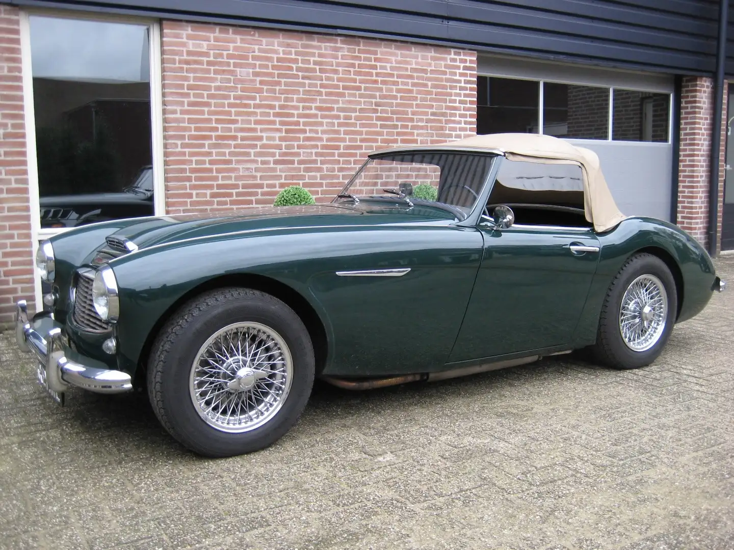 Austin Healey BN7 2 Zitter 3000 Mk1 Zielony - 2