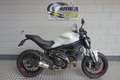 Ducati Monster 797 White - thumbnail 1