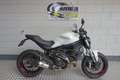 Ducati Monster 797 Wit - thumbnail 1