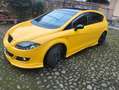 SEAT Leon Leon II 2005 1.9 tdi Style (stylance) Giallo - thumbnail 1