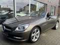 Mercedes-Benz SLK 250 Roadster BlueEfficiency Gris - thumbnail 1
