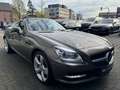Mercedes-Benz SLK 250 Roadster BlueEfficiency Gris - thumbnail 3