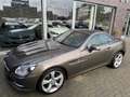 Mercedes-Benz SLK 250 Roadster BlueEfficiency Gris - thumbnail 13