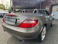 Mercedes-Benz SLK 250 Roadster BlueEfficiency Gris - thumbnail 8