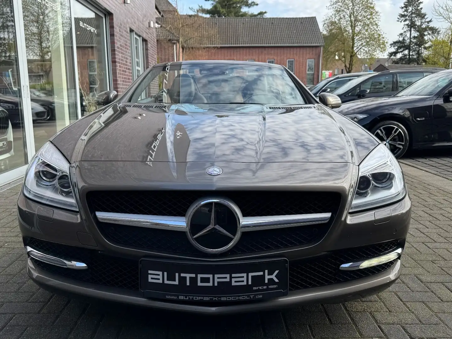 Mercedes-Benz SLK 250 Roadster BlueEfficiency Gris - 2
