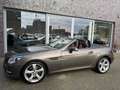 Mercedes-Benz SLK 250 Roadster BlueEfficiency Gris - thumbnail 11