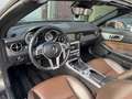 Mercedes-Benz SLK 250 Roadster BlueEfficiency Gris - thumbnail 27