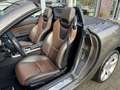 Mercedes-Benz SLK 250 Roadster BlueEfficiency Gris - thumbnail 21