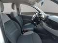 Fiat Panda City Life Hybrid 1.0 Gse 51kw (70CV) Wit - thumbnail 17