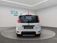 Fiat Panda City Life Hybrid 1.0 Gse 51kw (70CV) Weiß - thumbnail 13
