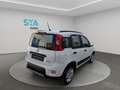 Fiat Panda City Life Hybrid 1.0 Gse 51kw (70CV) Wit - thumbnail 5