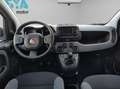Fiat Panda City Life Hybrid 1.0 Gse 51kw (70CV) Blanco - thumbnail 10