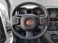 Fiat Panda City Life Hybrid 1.0 Gse 51kw (70CV) Wit - thumbnail 15