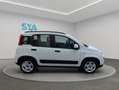 Fiat Panda City Life Hybrid 1.0 Gse 51kw (70CV) Blanco - thumbnail 14