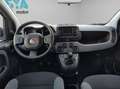 Fiat Panda City Life Hybrid 1.0 Gse 51kw (70CV) Wit - thumbnail 10