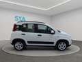 Fiat Panda City Life Hybrid 1.0 Gse 51kw (70CV) Wit - thumbnail 14
