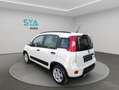 Fiat Panda City Life Hybrid 1.0 Gse 51kw (70CV) Weiß - thumbnail 4