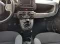 Fiat Panda City Life Hybrid 1.0 Gse 51kw (70CV) Blanco - thumbnail 18