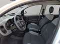 Fiat Panda City Life Hybrid 1.0 Gse 51kw (70CV) Wit - thumbnail 9