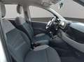 Fiat Panda City Life Hybrid 1.0 Gse 51kw (70CV) Blanco - thumbnail 17