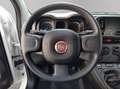 Fiat Panda City Life Hybrid 1.0 Gse 51kw (70CV) Blanco - thumbnail 15