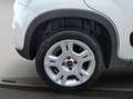 Fiat Panda City Life Hybrid 1.0 Gse 51kw (70CV) Weiß - thumbnail 6
