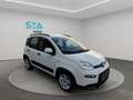 Fiat Panda City Life Hybrid 1.0 Gse 51kw (70CV) Wit - thumbnail 1