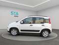 Fiat Panda City Life Hybrid 1.0 Gse 51kw (70CV) Weiß - thumbnail 12