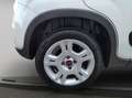 Fiat Panda City Life Hybrid 1.0 Gse 51kw (70CV) Wit - thumbnail 6