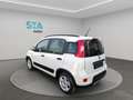 Fiat Panda City Life Hybrid 1.0 Gse 51kw (70CV) Wit - thumbnail 4