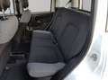 Fiat Panda City Life Hybrid 1.0 Gse 51kw (70CV) Blanco - thumbnail 16