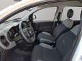 Fiat Panda City Life Hybrid 1.0 Gse 51kw (70CV) Blanco - thumbnail 9