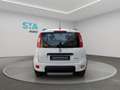 Fiat Panda City Life Hybrid 1.0 Gse 51kw (70CV) Wit - thumbnail 13