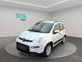 Fiat Panda City Life Hybrid 1.0 Gse 51kw (70CV) Weiß - thumbnail 3