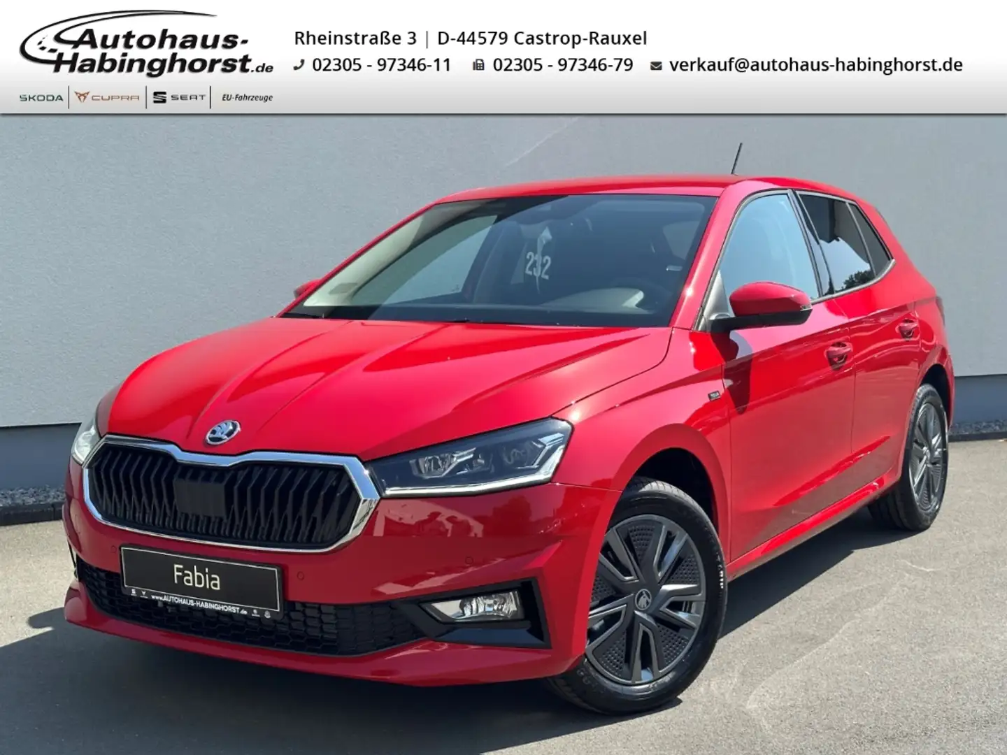 Skoda Fabia IV 1.0 TSI DSG Tour AHK ACC PDC LED SmartLink 16Al Rot - 1