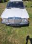 Mercedes-Benz E 300 300 D W123 Weiß - thumbnail 1