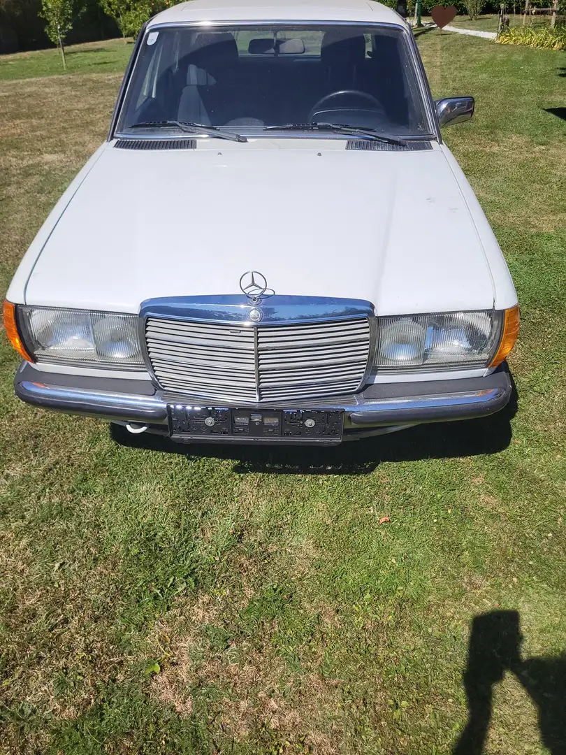 Mercedes-Benz E 300 300 D W123 Weiß - 1