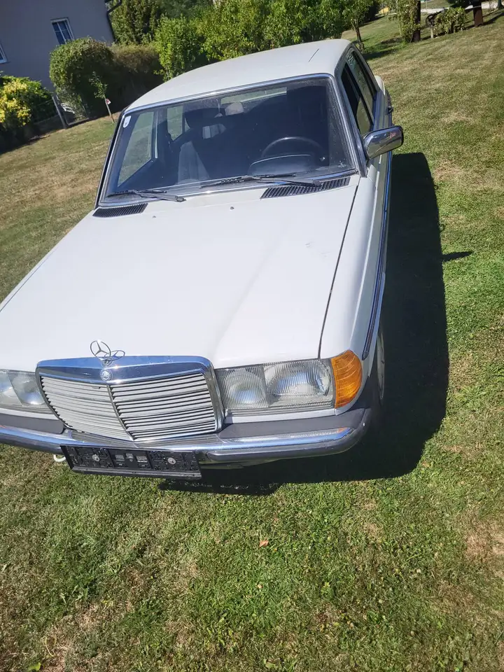 Mercedes-Benz E 300 300 D W123, foto 4