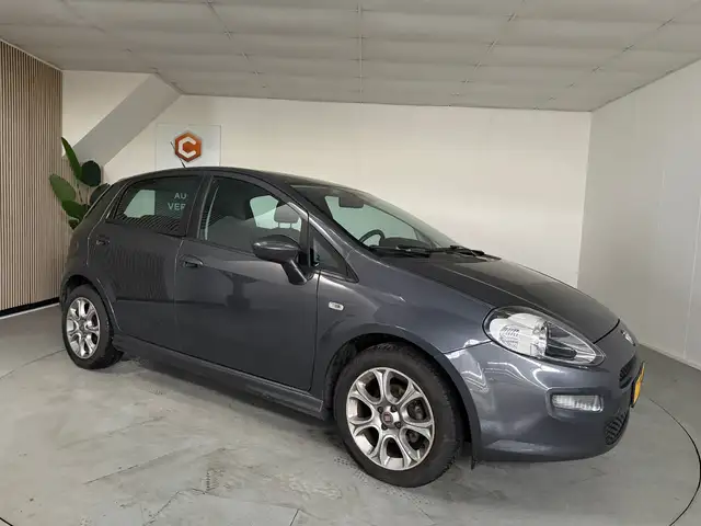 Fiat Punto Evo view 10