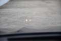 BMW X5 xDrive30d 48V Msport (Tetto/H&K/SurroundView) Blu/Azzurro - thumbnail 8