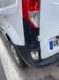 Renault Kangoo Kangoo 1.9 D - 65 Pampa White - thumbnail 6