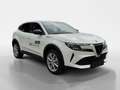 Alfa Romeo Junior 1.2 MHEV 100kW Speciale e-DCT6 Ibrid Weiß - thumbnail 7