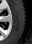 Kia Ceed / cee'd Ceed Edition 7 // Scheckh., PDC, Lenk + Sitzh., Grau - thumbnail 20