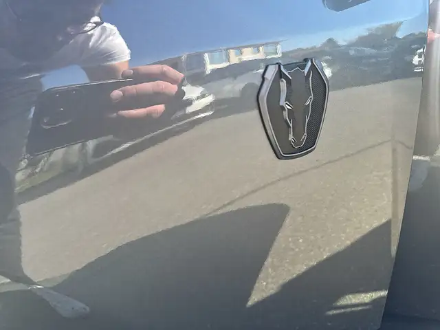 Ford Mustang 5,0 Ti-VCT V8 Dark Horse Aut.*RECARO-SPORT* Ansicht 22